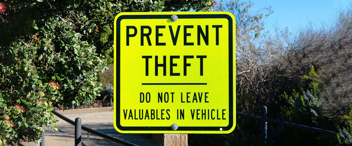 How to Protect Yourself from Car Theft